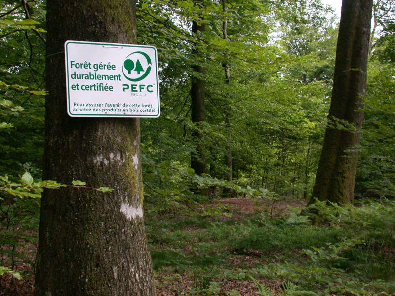 Forêt gérée certifiée label PEFC